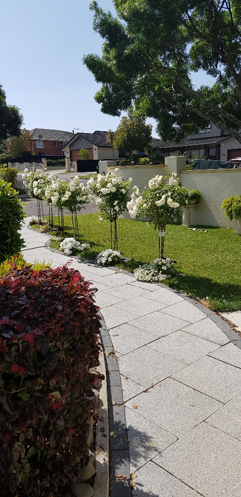 Side Rose Garden Path