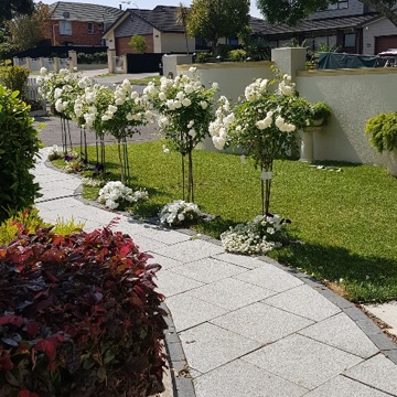 Side Rose Garden Path