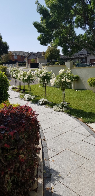 Side Rose Garden Path