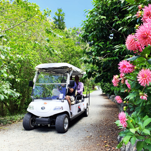 Whangarei Quarry Gardens image