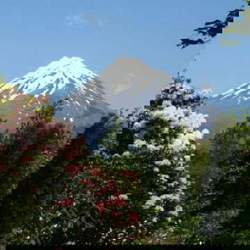 Afa5694d 28E0 4B5b Bfc3 Bf57326c3d12 2016908163325