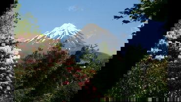 Afa5694d 28E0 4B5b Bfc3 Bf57326c3d12 2016908163325