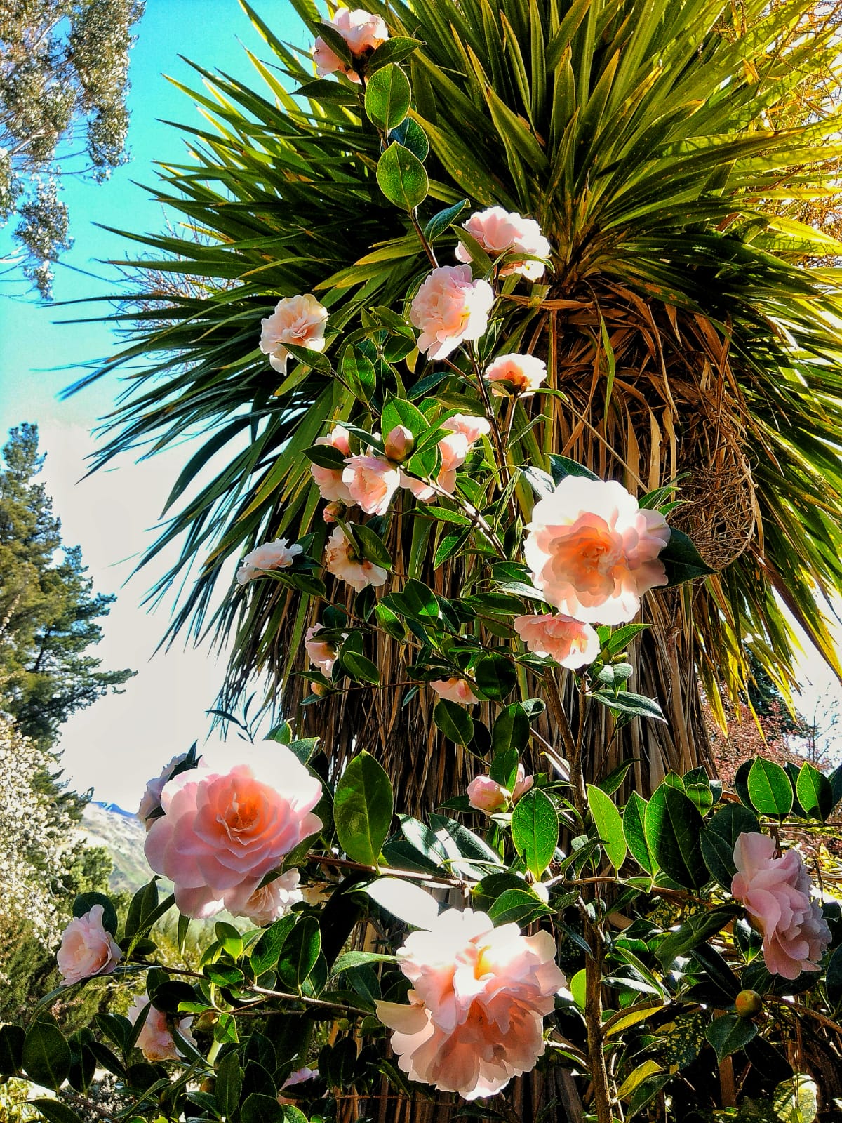 IMG 20190928 WA0006