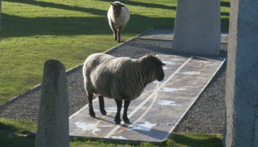 Ram And Analemma
