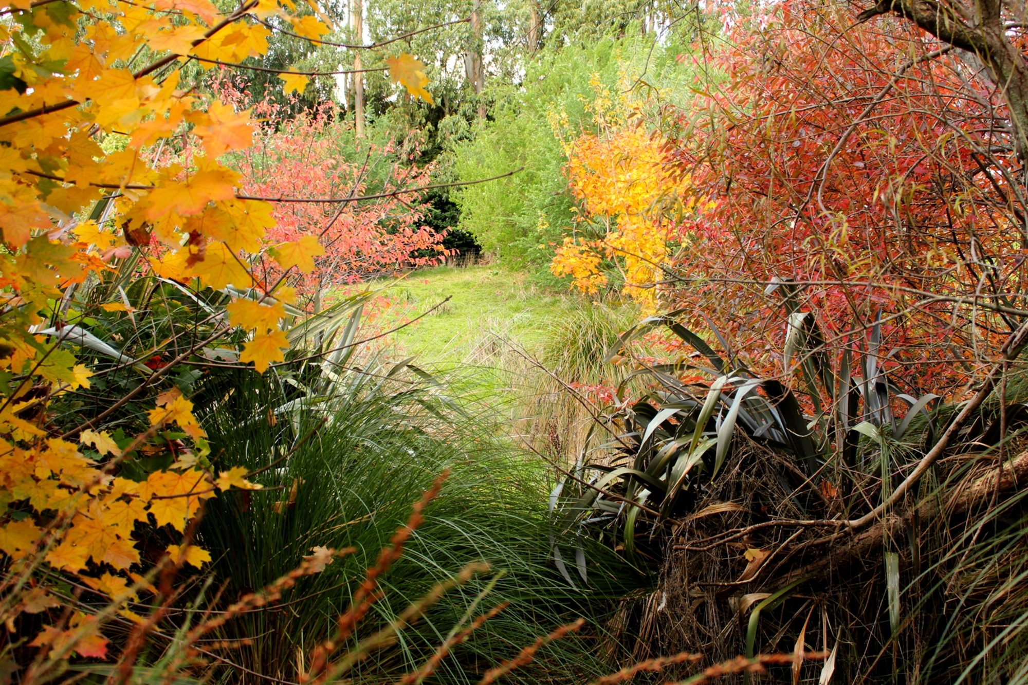 Autumn