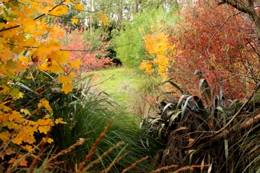 Autumn