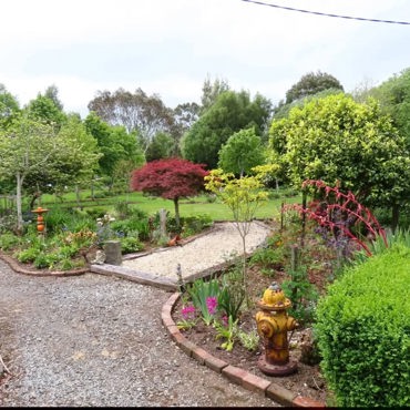 garden 8.jpg
