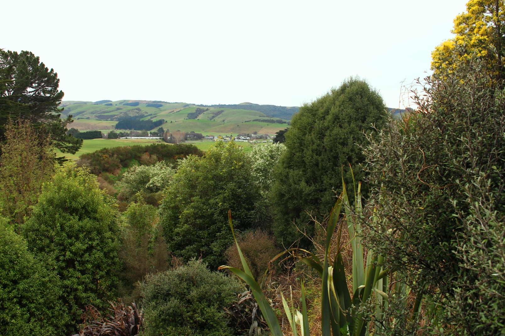 View From Earthlore