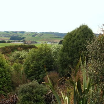 View From Earthlore