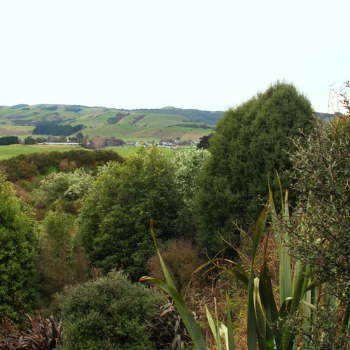 Earthlore Wildlife Garden image