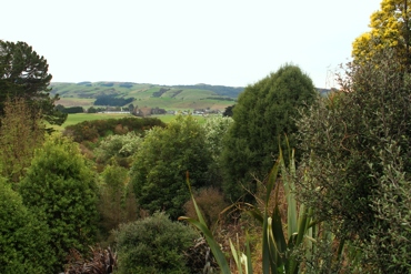 View From Earthlore