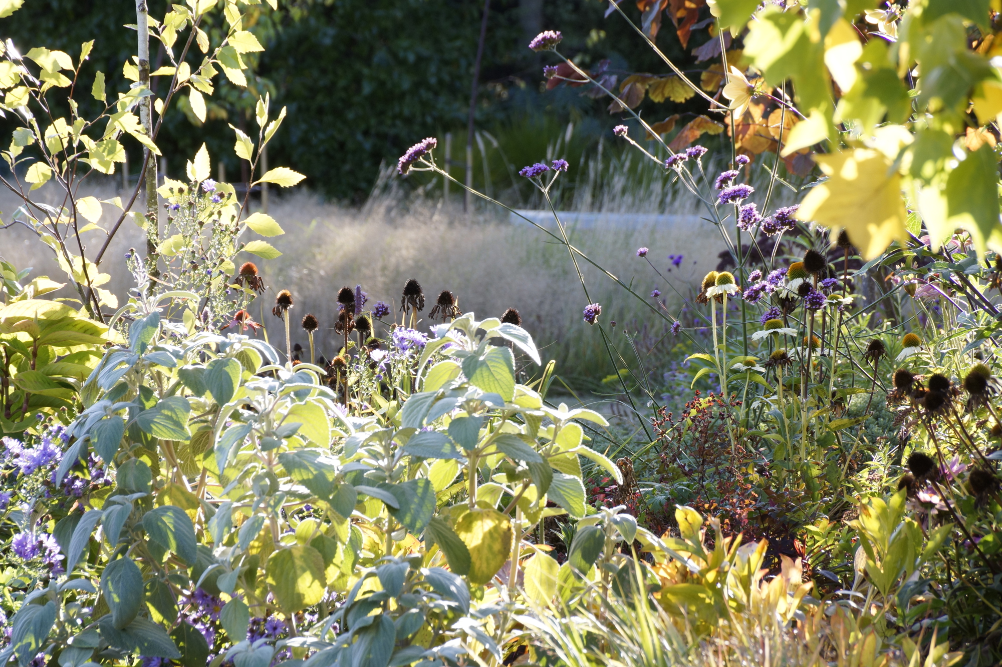  Blue House Garden in Amberley