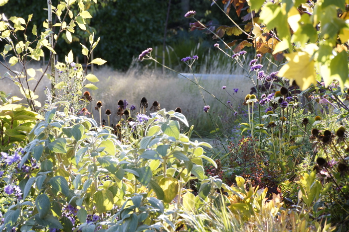  Blue House Garden in Amberley