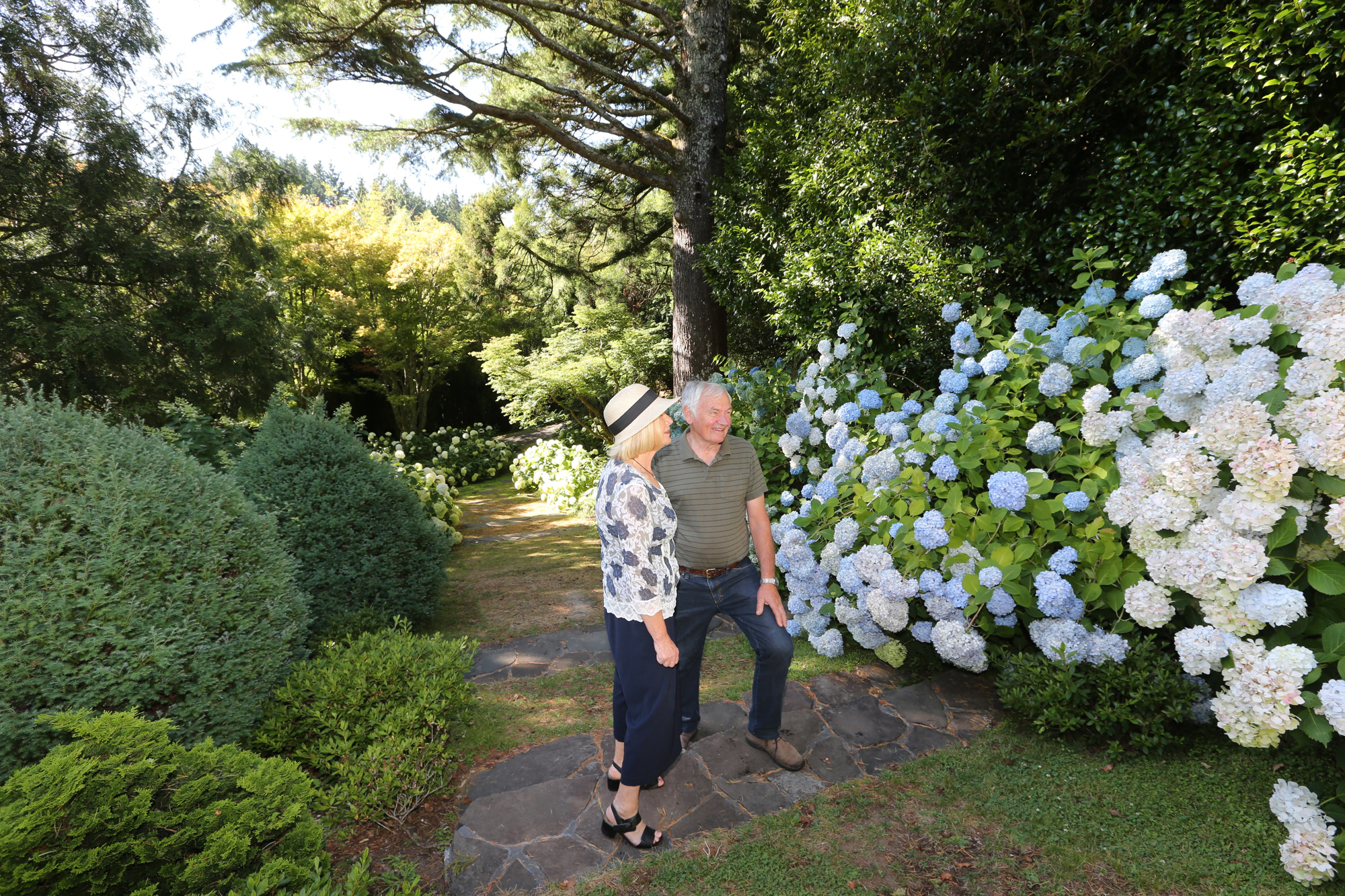 Tupare Garden Visitors Hydrangea 3 Rob Tucker