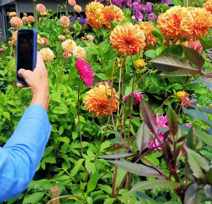Taking Photos