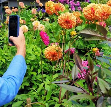 Taking Photos