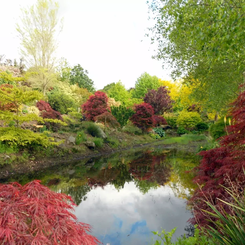 Pepper Tree Garden and Nursery image