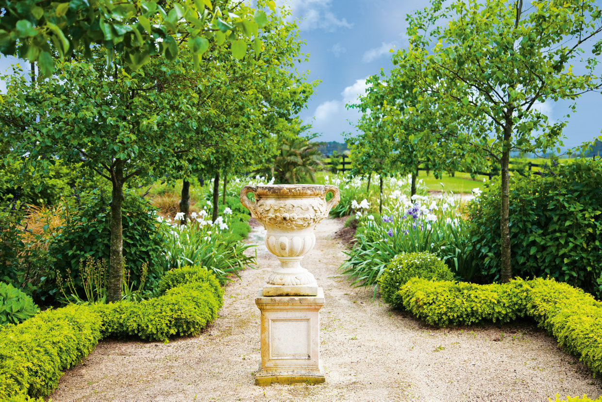Boxwood 2019 Sally Tagg Programme Image