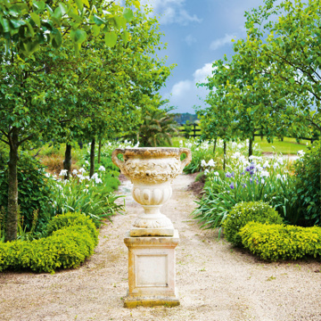 Boxwood 2019 Sally Tagg Programme Image