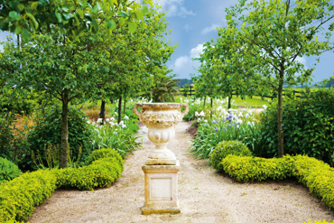 Boxwood 2019 Sally Tagg Programme Image