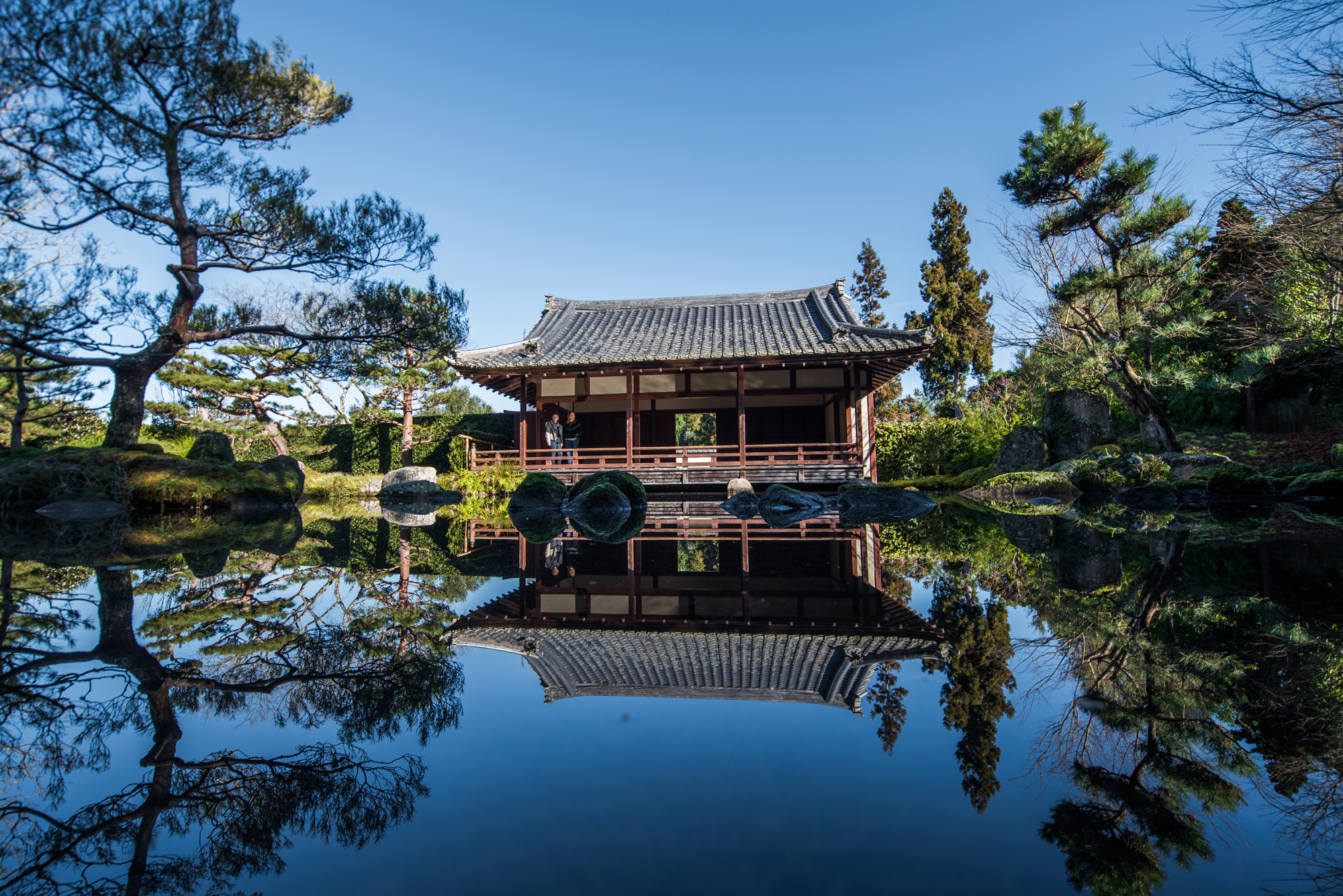 Hamilton Gardens Japanese Garden of Contemplation (1)