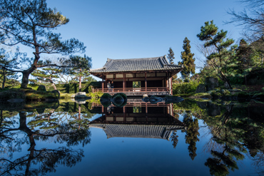 Hamilton Gardens Japanese Garden of Contemplation (1)