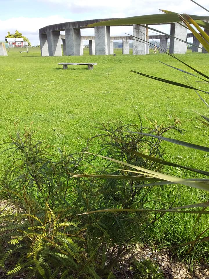 Kowhai Henge