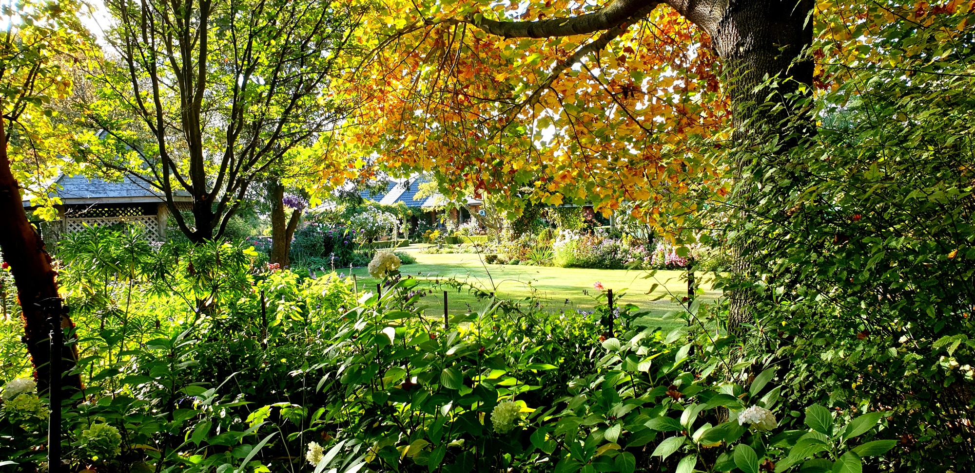 Cedar Park Gardens (3)