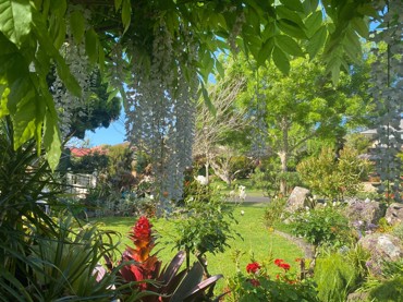 IMG 0148 (2)