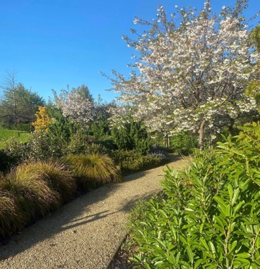 Henry & Lynne's Garden 1.JPG