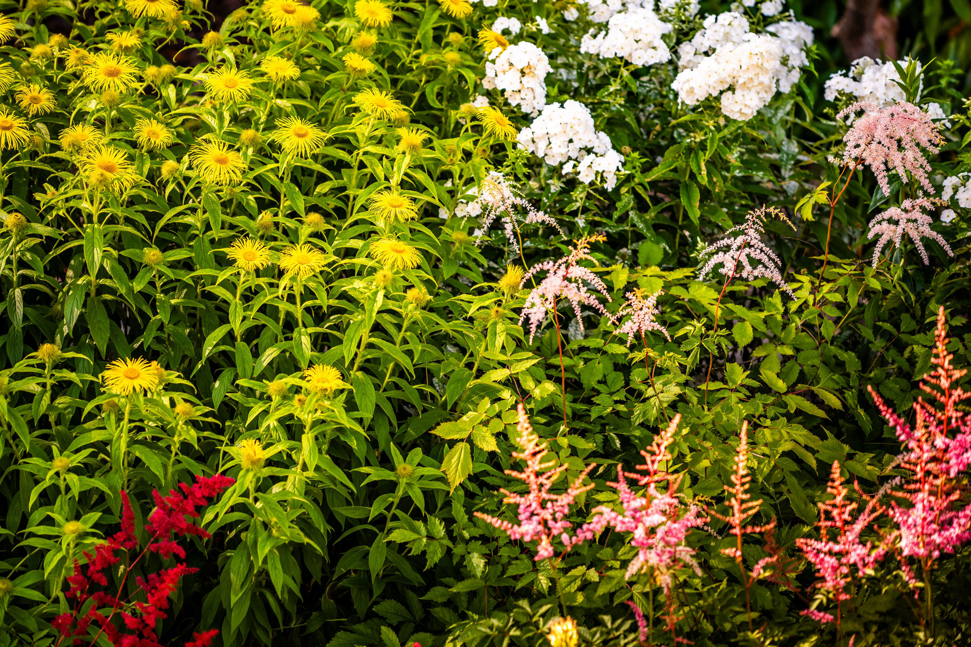 Bannermanpark 11
