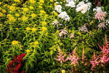 Bannermanpark 11