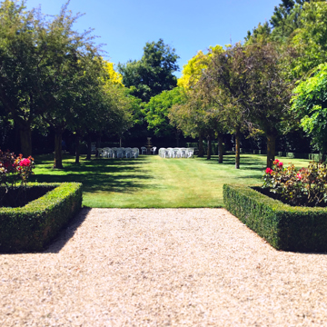 wedding-avenue_re.jpg