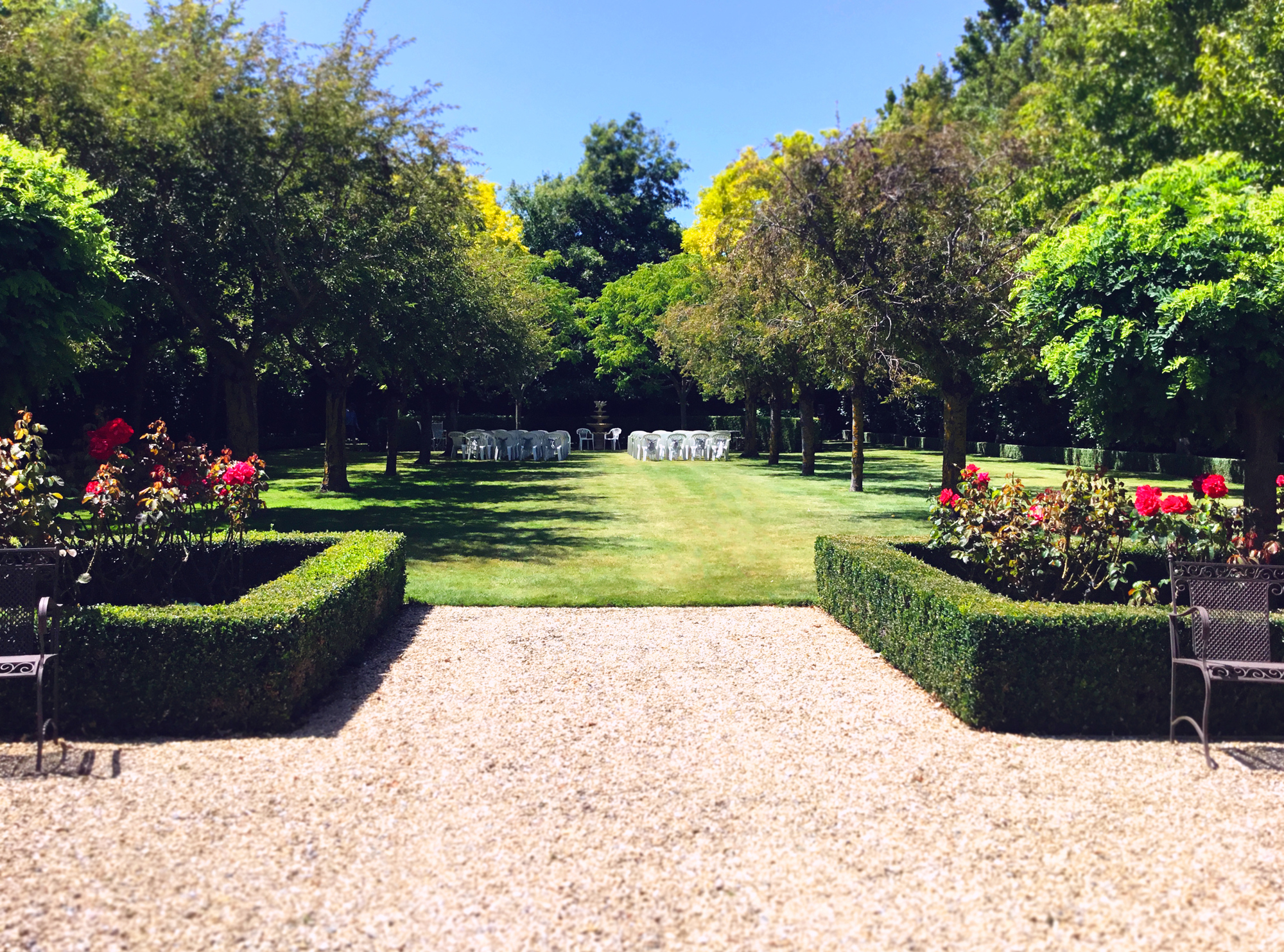 wedding-avenue_re.jpg