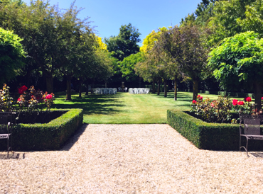 wedding-avenue_re.jpg