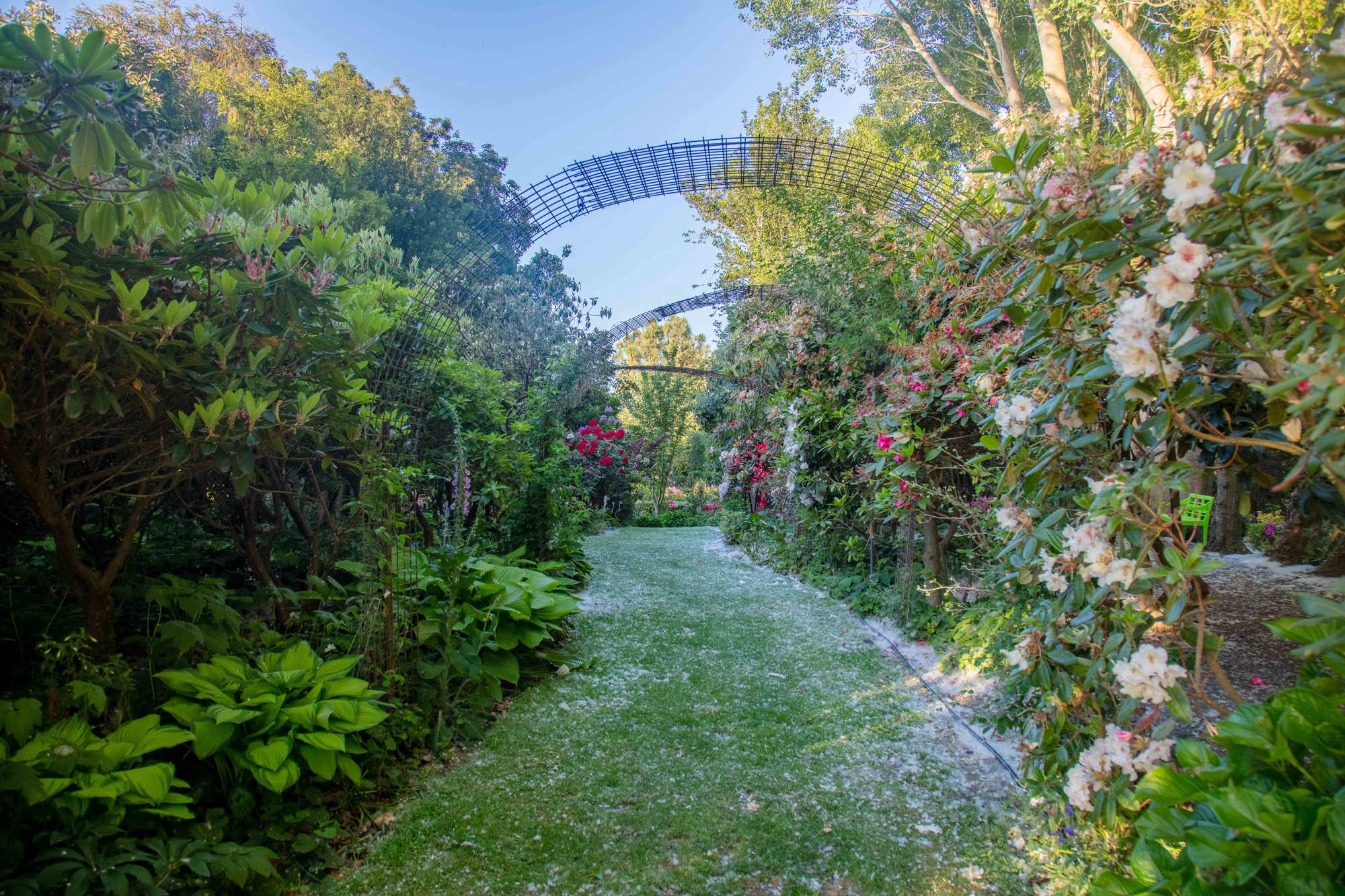 Gardens 13