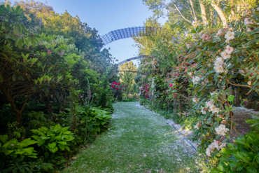 Gardens 13