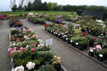 Nursery Lg 1024X682