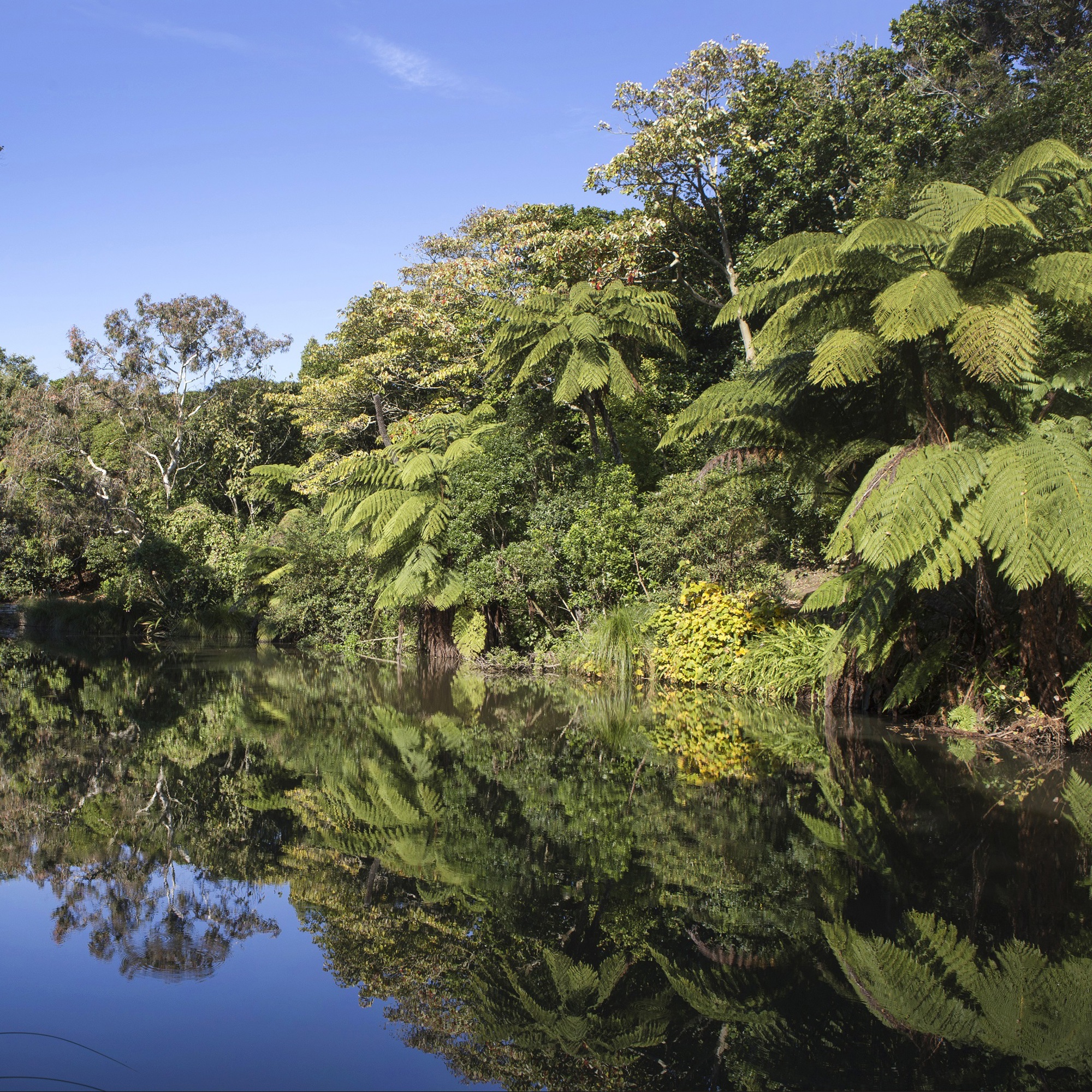 The Environmental Garden 2019 Jane Dove Juneau 1 Best Programme Image