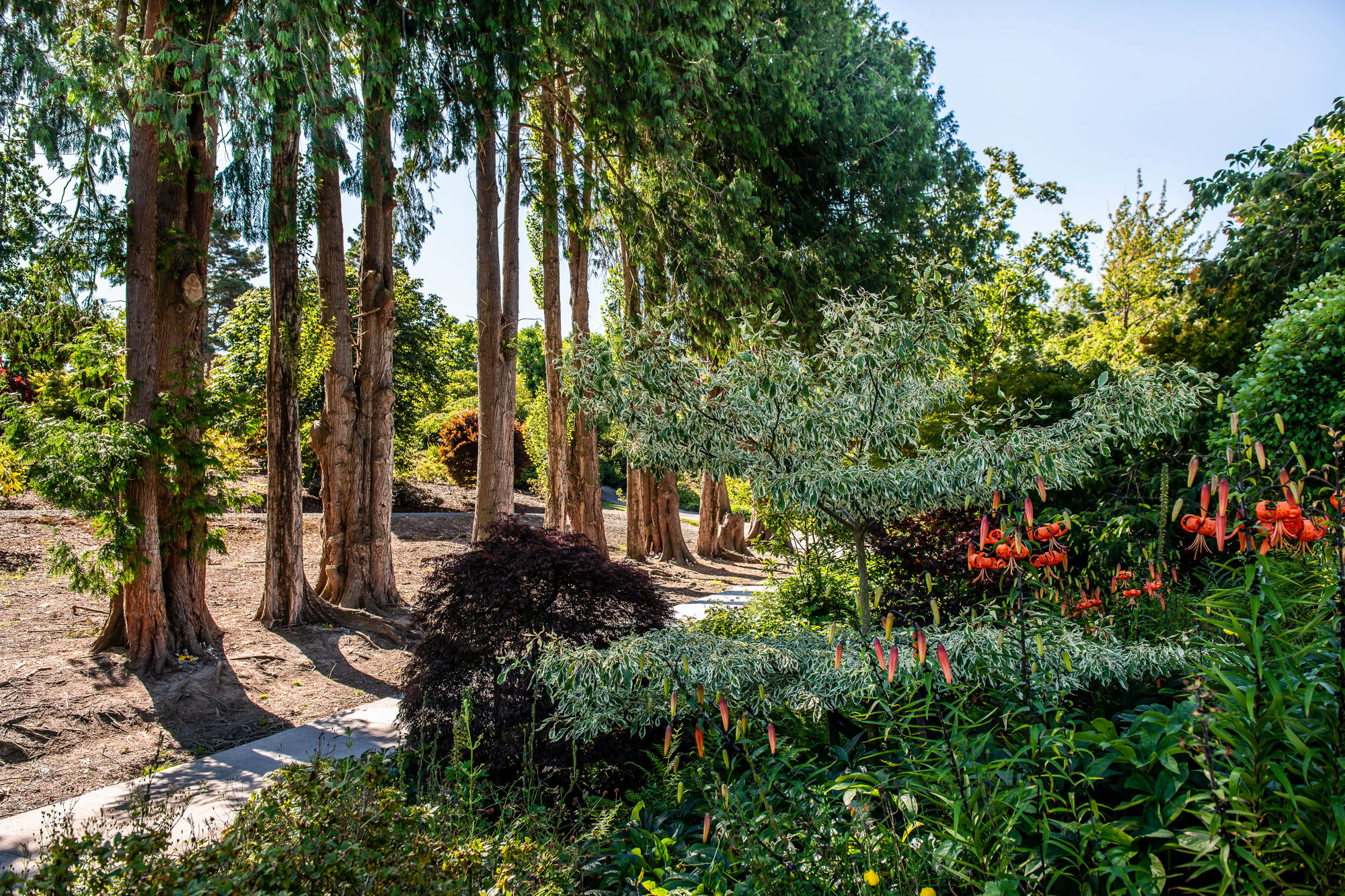 Bannermanpark 20