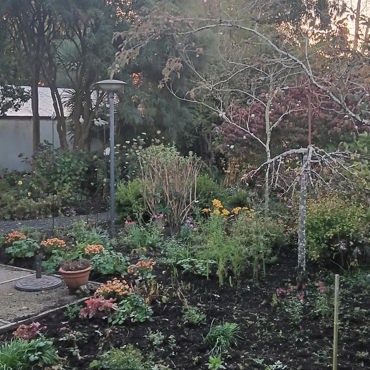 GARDEN 4.jpg