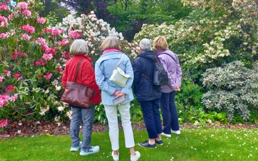 Friends Admiring A Beautiful Garden