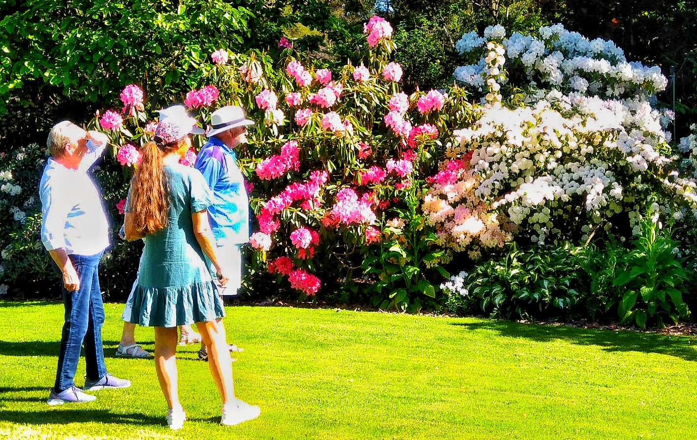 Garden Tour Guests And Guide Admiring A Beautiful Garden
