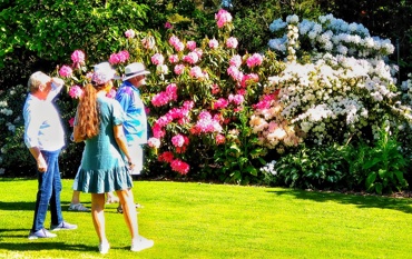 Garden Tour Guests And Guide Admiring A Beautiful Garden