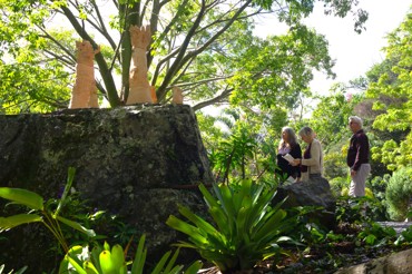 tree (1)