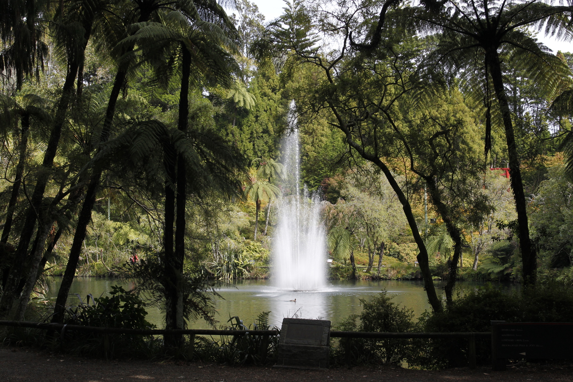 Pukekura Park Water Fountain Lake