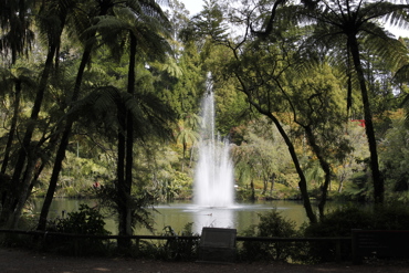 Pukekura Park Water Fountain Lake