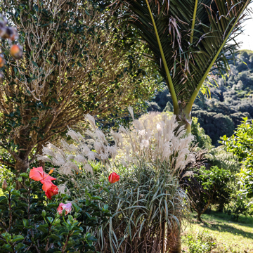 HERO Waiheke Road