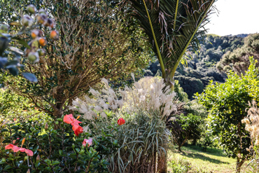 HERO Waiheke Road
