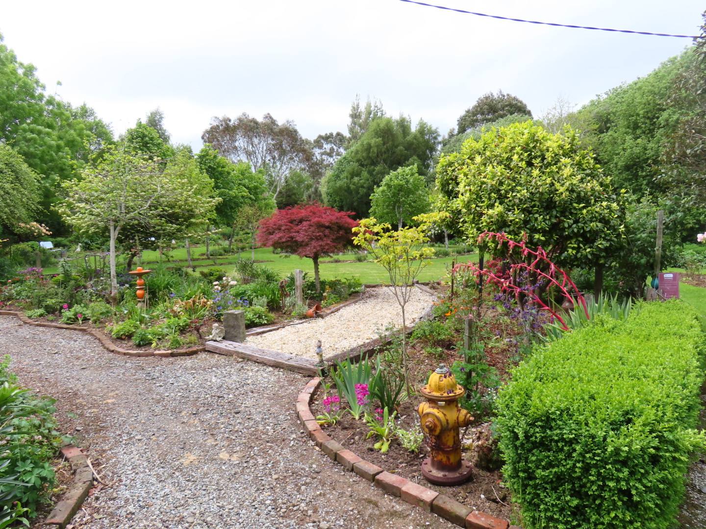 GARDEN 1.jpg